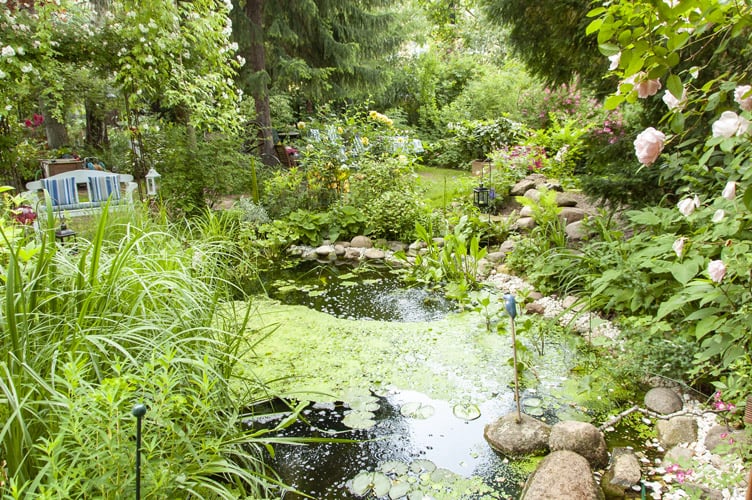 Garten Benseler/Schulz in Hannover Ricklingen