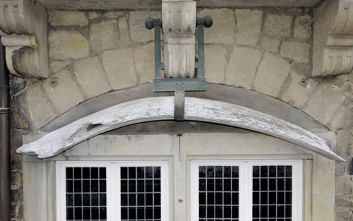 Die Rippe die ein Kiefer ist. Von der Hartnäckigkeit eines Irrtums.