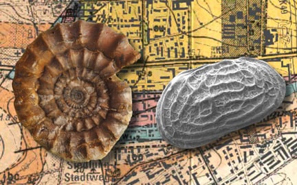 Der Jura im Stadtgebiet von Hannover